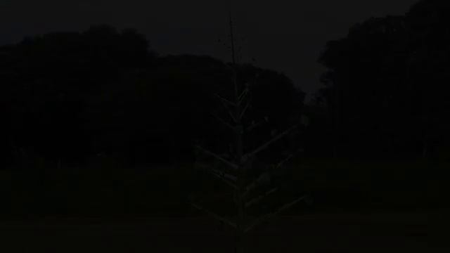 Game Art Sounds смотреть онлайн