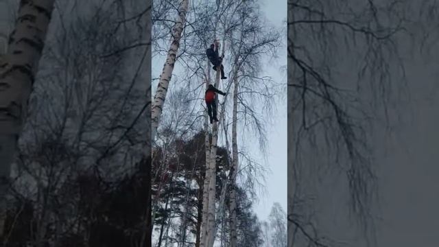 Спасатели Пожарно-спасательной службы Иркутской области сняли с дерева мужчину