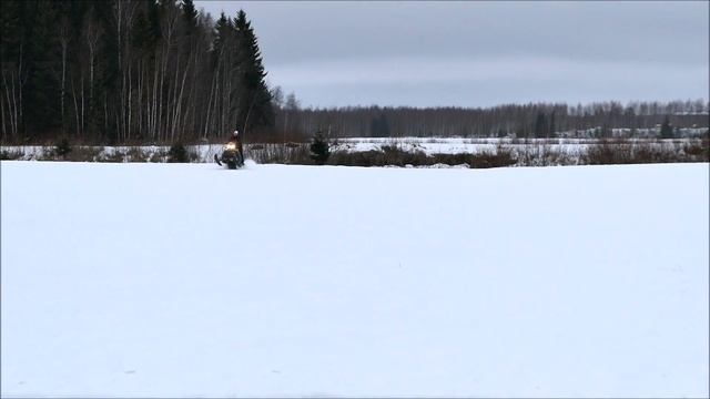 Skidoo summit 800 154"