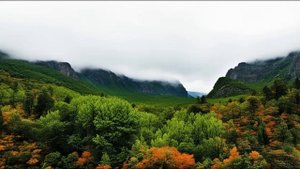 Кардиолог отбывала СРОК за врачебную ошибку, но после визита к начальнику колонии растерялась.