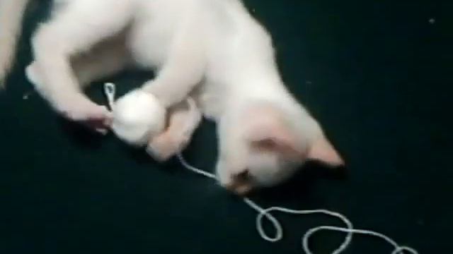 Moon Playing смотреть онлайн