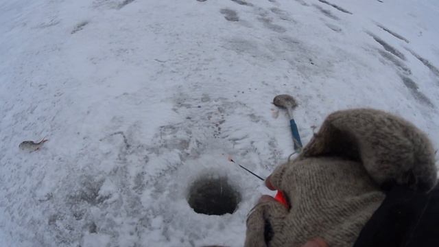 Просто рыбалка 1 февраля смотреть онлайн