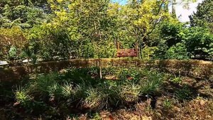 Пансионат МАЯК,  Шепси, - экскурсия для отдыхающих