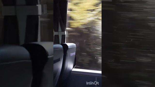 Едем в #Светлогорск (Калининградская область), на #балтийскоеморе и #Янтарный 2023 г.