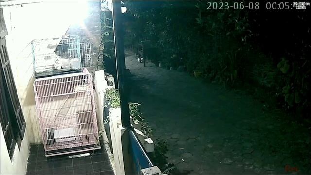 Indonesia earthquake today! 6.0 earthquake strikes East Java смотреть онлайн