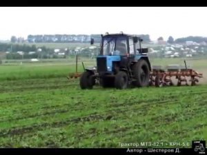 Трактор МТЗ-82.1 на обработке кукурузы