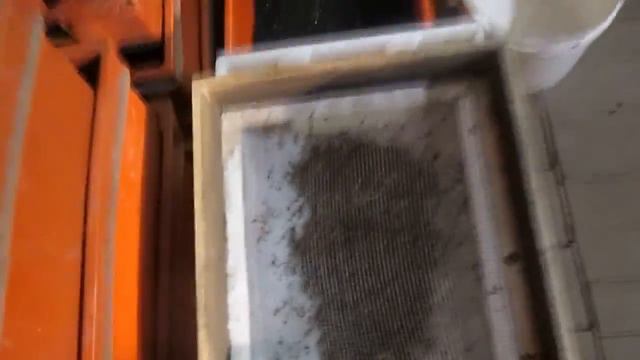 Бизнес.Просеивание малька Дендробены. смотреть онлайн