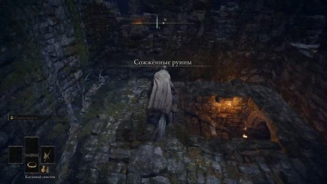 парный клинок мощное оружие в начале игры elden ring