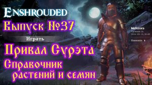 Enshrouded №37 Привал Сурэта и Справочник растений и семян