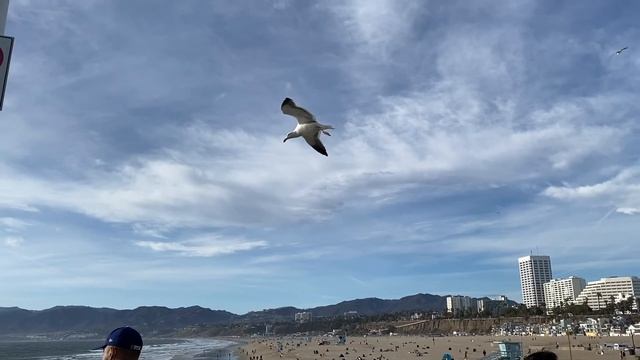 Santa Monica Pier. Los Angeles. Пирс Санта Моника. Лос Анджелес. смотреть онлайн