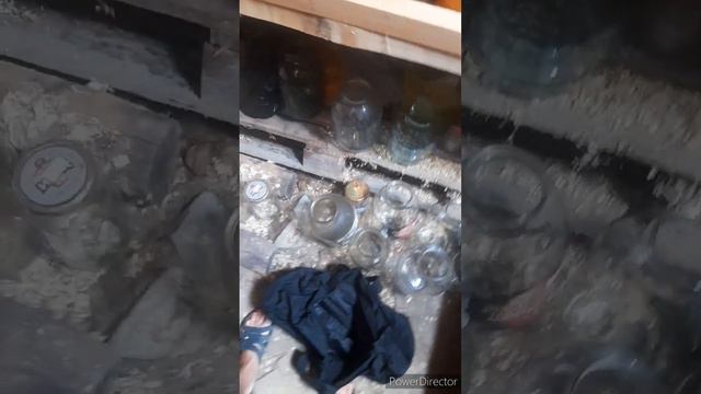 где же дождь?//подвальные хроники//закатала помидоры//(1 год назад)