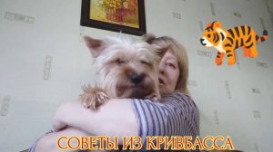 Мой  Злой Пёс Микки  Блогер!!!