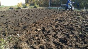 ВСПАШКА ЗЕМЛИ ПЛУГОМ НА МОТОБЛОКЕ НЕВА МБ-2/ЗАПАХИВАЕМ УДОБРЕНИЕ ПЛУГОМ НА МОТОБЛОКЕ НЕВА МБ-2В САД