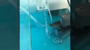 Самп для аквариума своими руками