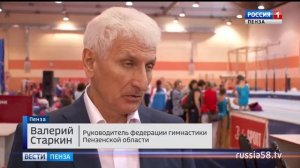 Первенство России в Пензе собрало более 100 юных гимнасток из нескольких регионов