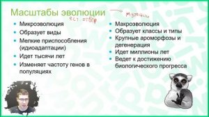 Теория. Синтетическая теория эволюции