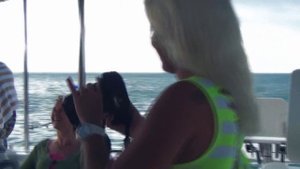 Seychelles._Desroches_Island._Сейшелы.Остров_Desroches