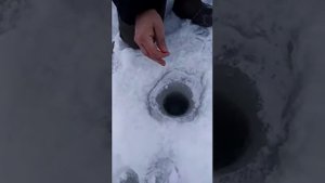 Извлечение щуки багром зимой из лунки