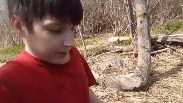 Приехали на базу отдыха. Играем в прятки и купаемся весной. смотреть онлайн