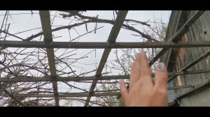Купили дачу. 4 сотки. Обзор участка и дома. Какие планы? Первые расходы. Что обнаружила в доме??? #