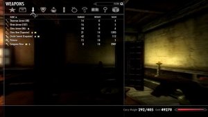 Skyrim Inventory Mod - SkyUI | Best UI mod