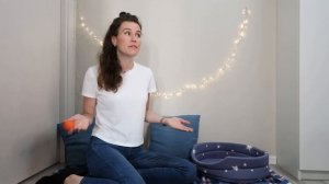 3 лучших средства от клещей ДЛЯ СОБАК