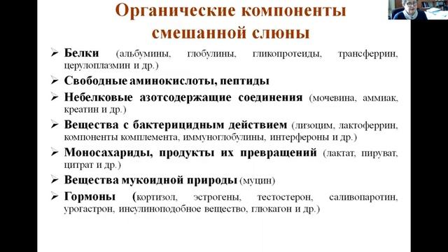Лекция 