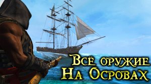 Где найти лучшее оружие в Assassins Creed Black Flag (Freedom Cry)