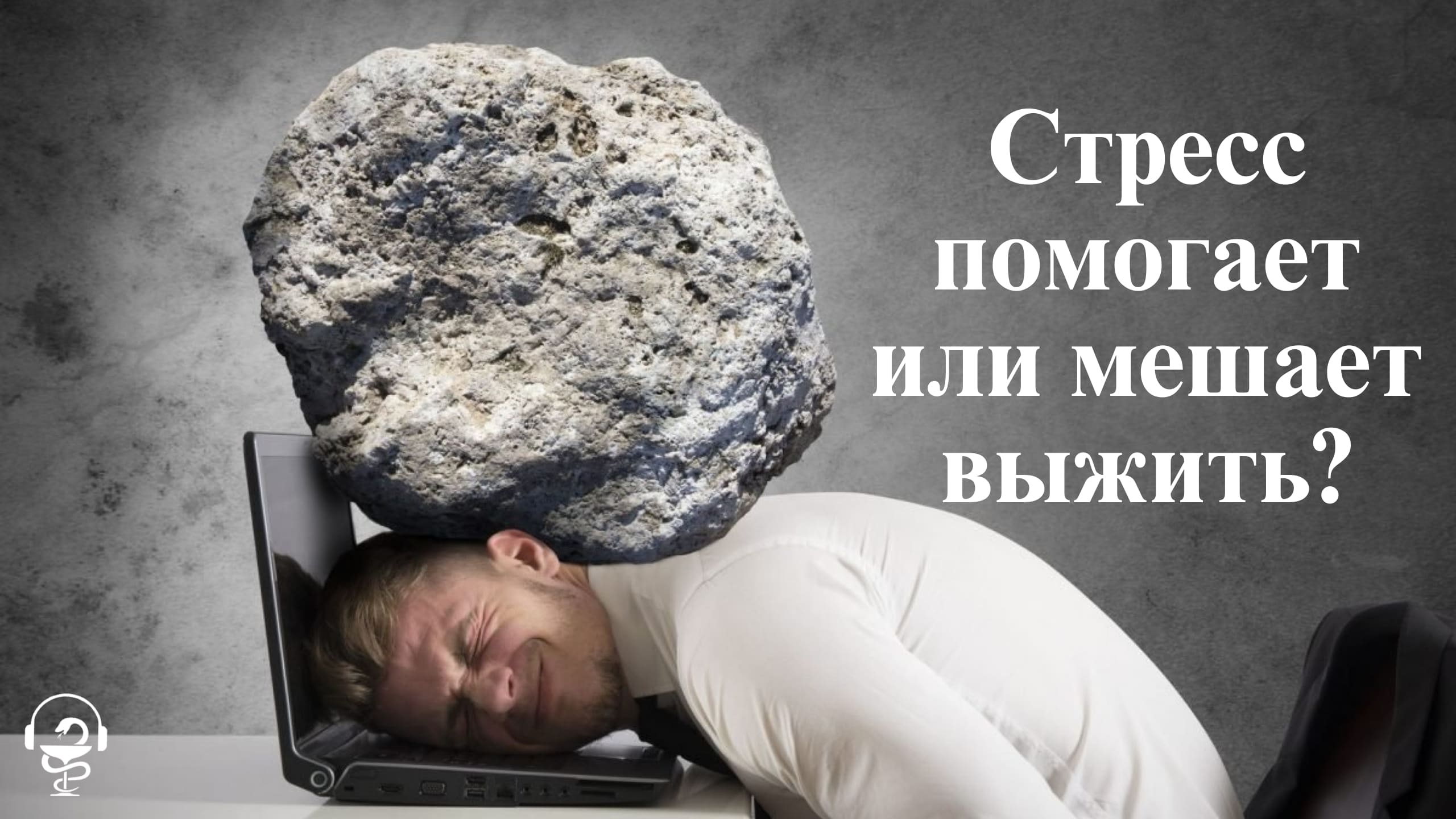 Стресс помогает или мешает выжить