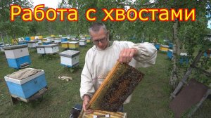 Продолжаем работать с хвостами после продажи пакетов. Работы на пасеке 01.06.2020г