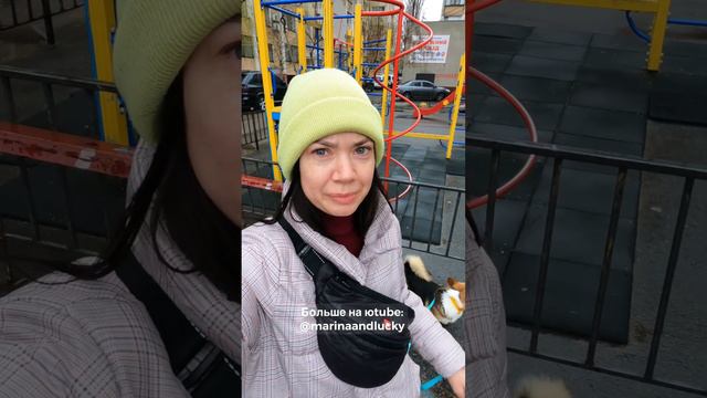 #корги #собака #собачьяжизнь #дрессировкасобак
