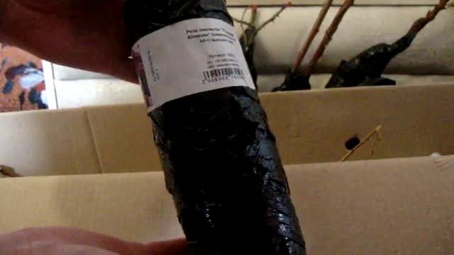 Саженцы и луковичные посылка 1 смотреть онлайн