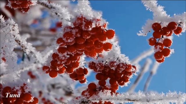 В сказку зимнюю поверь...Диана Гурцкая смотреть онлайн