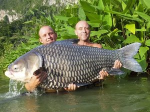 138.Трофеи 26.mp4