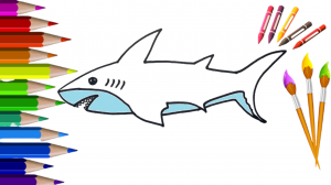 Как нарисовать Акулу. Рисуем сами шаг за шагом