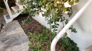 Отель ГринПорт Бодрум Турция