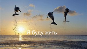 Дельфин Я буду жить
