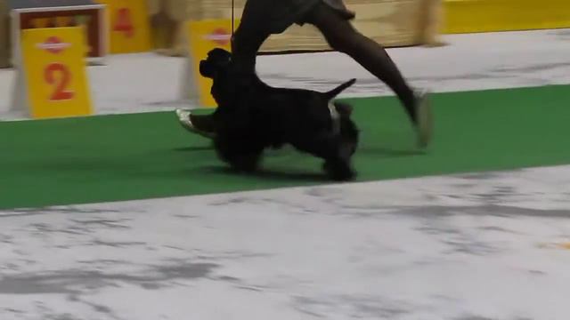 Ника 22.05.2011 Омск.MOV смотреть онлайн