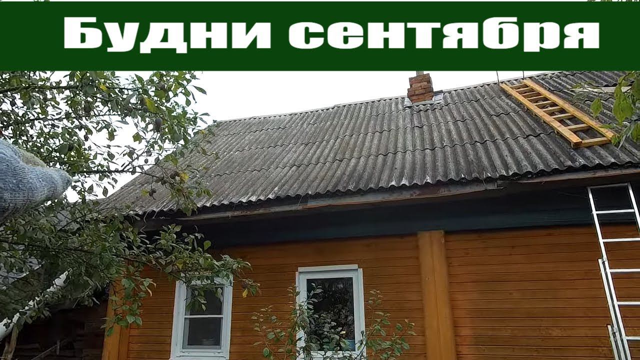 "Тропический" дождь и крыша дала сбой  и урожайный огород: картофель из семян, выращивание фасоли