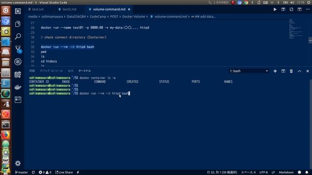 【Dockerの使い方】ボリューム機能（volume, -v） смотреть онлайн