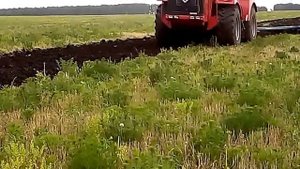 Испытание плуга ПСКу-8 в Курганской области