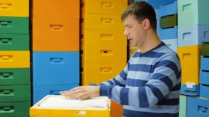 Облет маток 10 рамочный улей ППУ Нижегородец