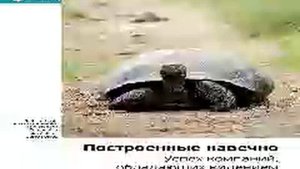 Джим Коллинз, Джерри Поррас   Smart Reading   00   Построенные навечно  Успех компаний, обладающих