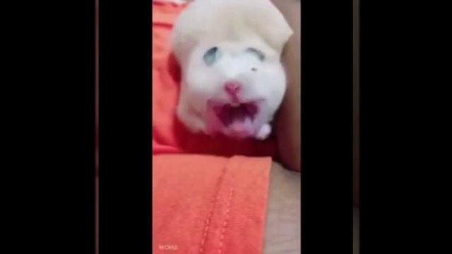 ну нахер!
