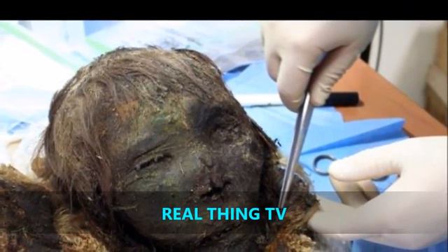 Incredible mummy of a 'polar princess' is found close to the Arctic Circle after 900 years смотреть онлайн