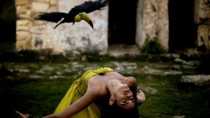 Самый красивый клип в мире