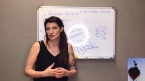 День первый. Урок 3. Строение волоса. Типы волос. Факты о волосах. Химический состав волос.