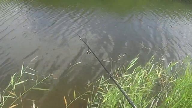 Классический мормышинг. Поймать ельца на микро речке. смотреть онлайн