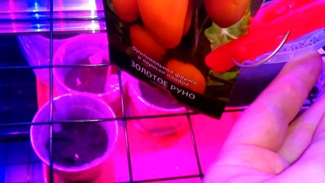 Моя рассада под фитолампой. Пикировка перца, баклажан, томатов. Луковый настой для подкормки)) смотреть онлайн