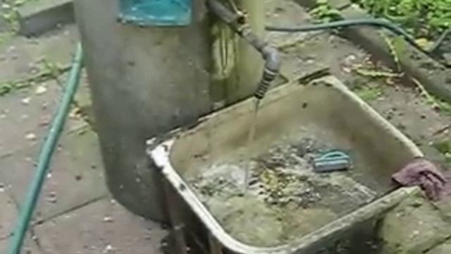 бодун у мопса смотреть онлайн